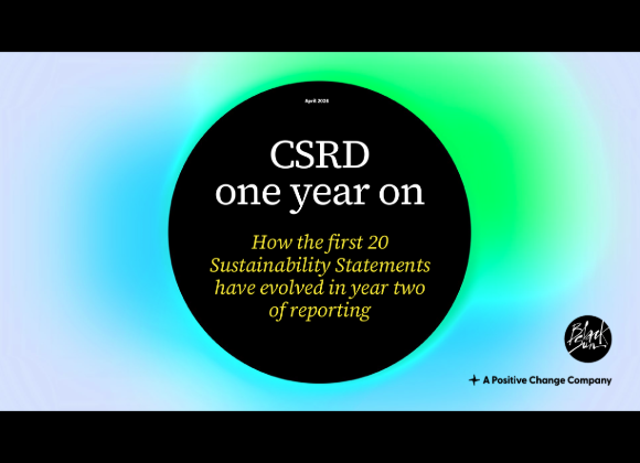 CSRD: The first 20 statements One year on