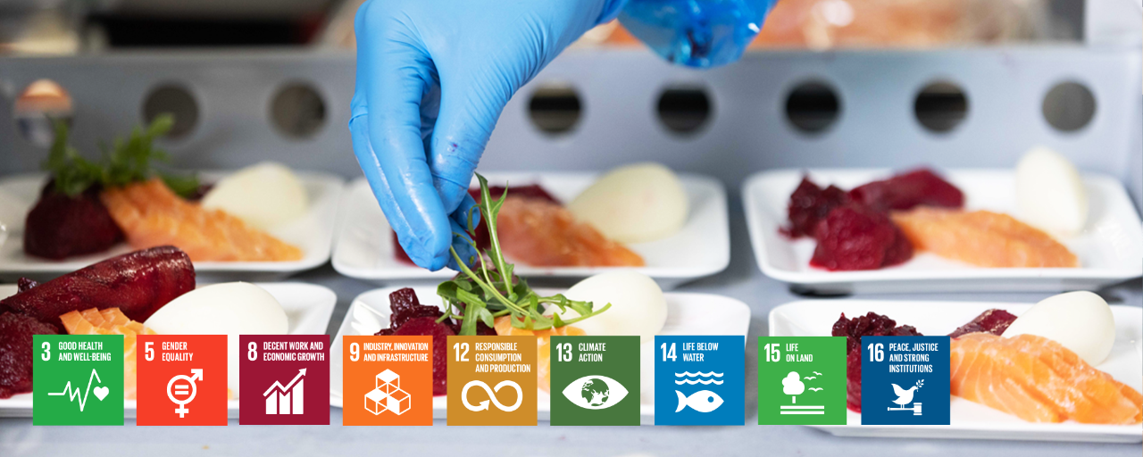Food and SDG icons